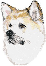 Akita