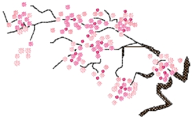 Sakura Branch