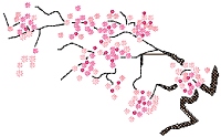 Sakura Branch