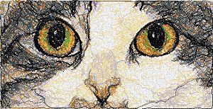 Cat Eyes Machine Embroidery File Design for Plush 7 Sizes