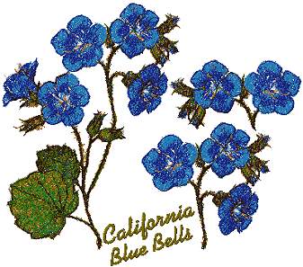 California Blue Bells Set