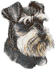 Schnauzer