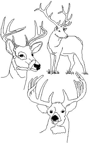 Deer Redwork Set