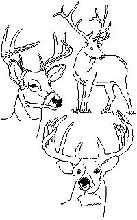 Deer Redwork Set