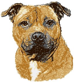 Staffordshire Bull Terrier