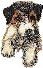 Wire Fox Terrier Puppy (Wirehaired)