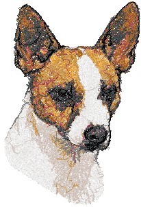 Rat Terrier