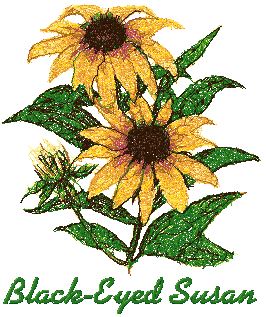 Garden Flower Series: Black-Eyed Susan