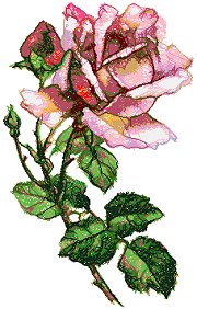 Florentine Rose