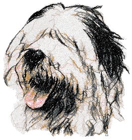 Old English Sheepdog