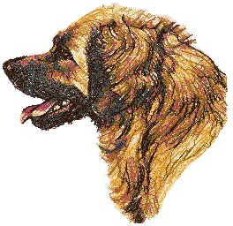 Leonberger