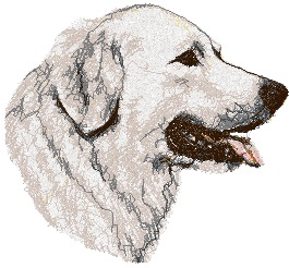 Maremma Sheepdog (Maremmano)