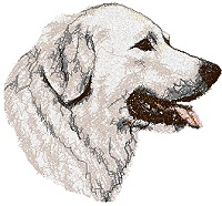 Maremma Sheepdog (Maremmano)