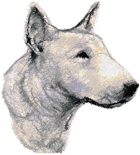 Bull Terrier