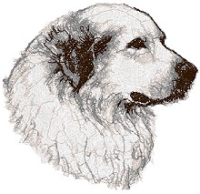 Great Pyrenees