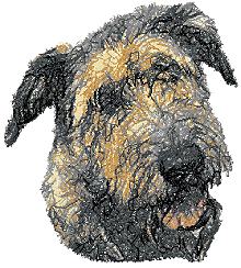 Irish Wolfhound