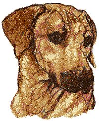 Rhodesian Ridgeback (African Lion Dog)