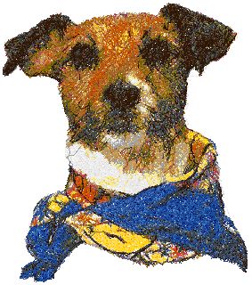 Jack Russell Terrier (Parson Russell Terrier)