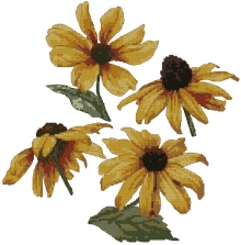 Black-Eyed Susan Linen Set