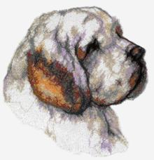 Clumber Spaniel