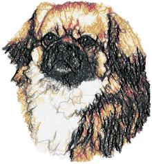 Pekingese