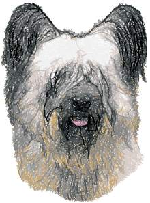 Skye Terrier