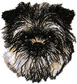 Affenpinscher