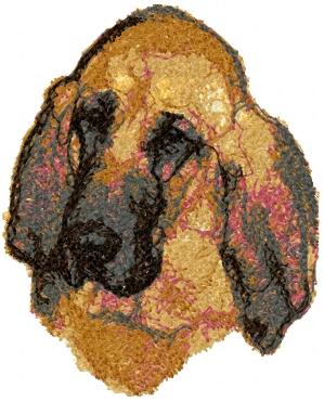 Bloodhound