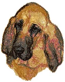 Bloodhound