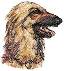 Afghan Hound