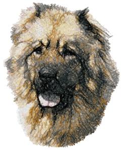 Caucasian Shepherd Dog (Caucasian Ovcharka)