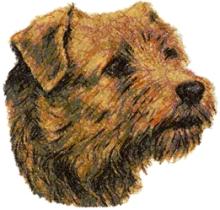 Norfolk Terrier