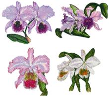 Orchid Set