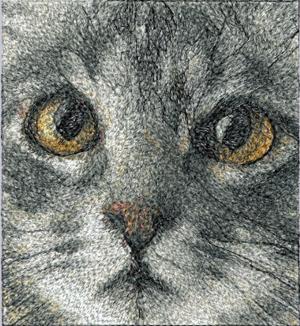 Cat Eyes Machine Embroidery File Design for Plush 7 Sizes 