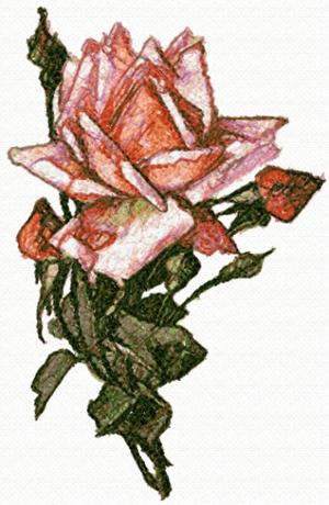 Tuscan Rose