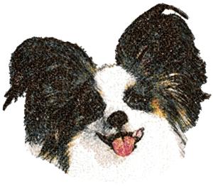 Papillon (Continental Toy Spaniel)