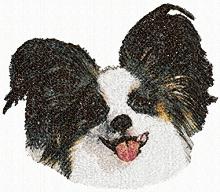 Papillon (Continental Toy Spaniel)