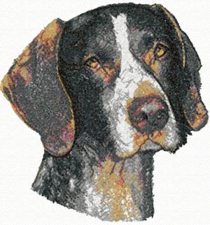 German Shorthaired Pointer