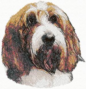 Petit Basset Griffon Vendeen