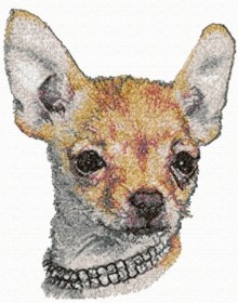 Russian Toy Terrier