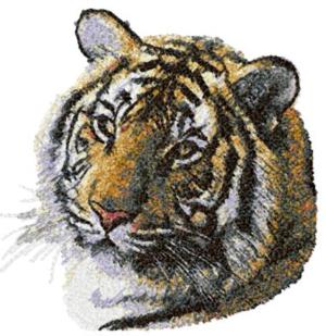 Siberian Tiger