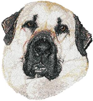 Anatolian Shepherd Dog