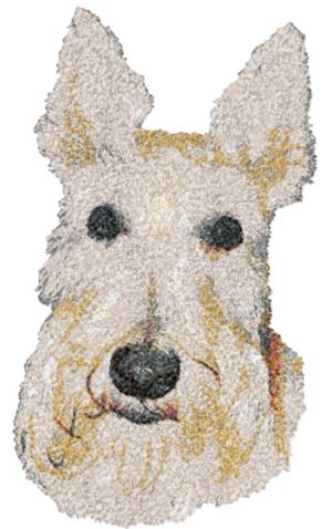 Wheaten Terrier (Soft-Coated Wheaten Terrier)