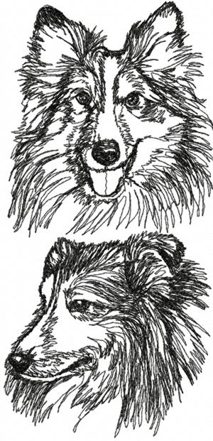 Shetland Sheepdog Set