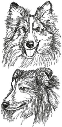 Shetland Sheepdog Set