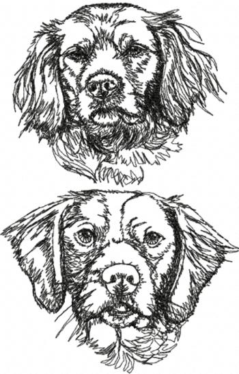 Brittany Spaniel Set