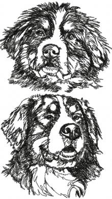 Bernese Mountain Dog Set