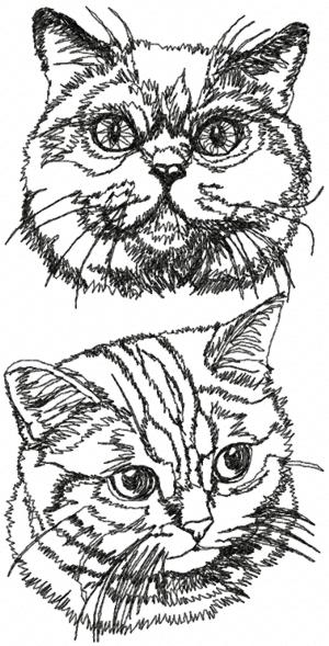 British Shorthair Cat Set