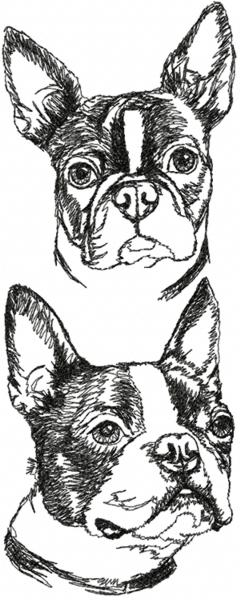 Boston Terrier Set