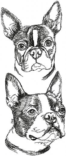 Boston Terrier Set